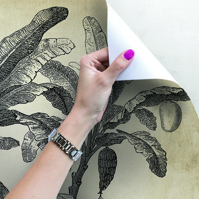 Papier peint adhésif Vacances sur une île déserte