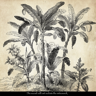 Papier peint adhésif Vacances sur une île déserte