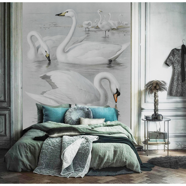 Papier peint adhésif Rencontre avec les cygnes