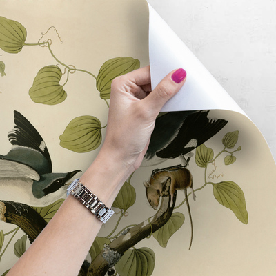 Papier peint panoramique Oiseaux sur une branche