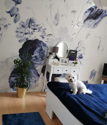 Papier peint adhésif Grenat royal