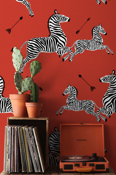 Papier peint Zèbres sur fond rouge
