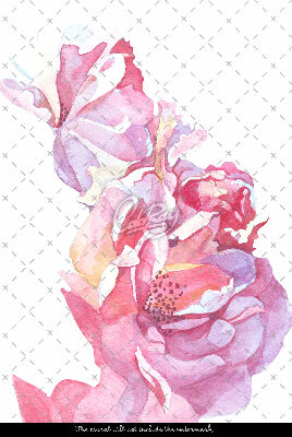 Autocollants pour escaliers Fleurs subtiles à l'aquarelle