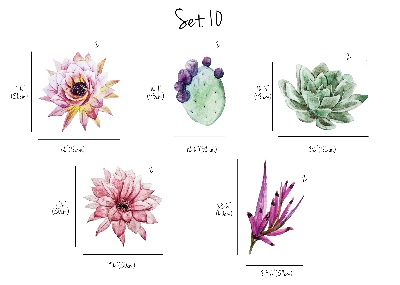 Autocollant mural Cactus à l'aquarelle