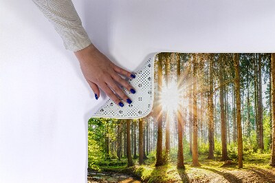 Tapis de salle de bain Paysage forestier