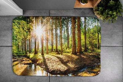 Tapis de salle de bain Paysage forestier