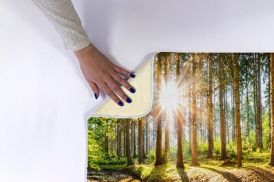 Tapis de salle de bain Paysage forestier