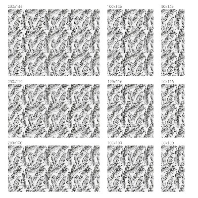 Autocollant pour vitrage feuilles tropicales