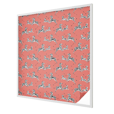 Film occultant pour fenêtre Motif zèbre