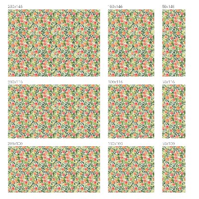 Film occultant fenêtre effet vitrail Modèle de fruit