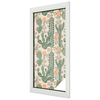 Film occultant pour fenêtre plantes succulentes vertes