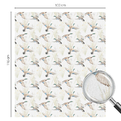 Film occultant fenêtre effet vitrail Les oiseaux et la nature