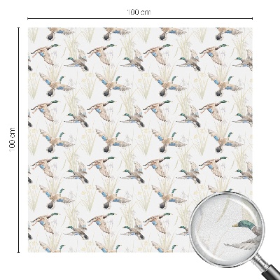 Film occultant fenêtre effet vitrail Les oiseaux et la nature