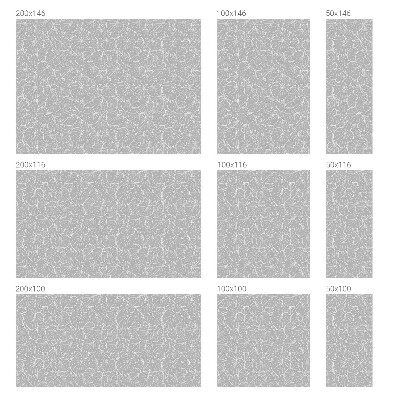 Autocollant pour vitrage Élégance feuillue