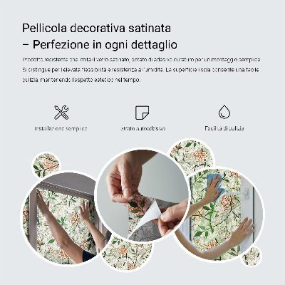 Autocollant pour vitrage Fleurs subtiles