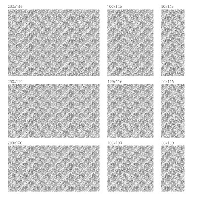 Film occultant fenêtre effet vitrail Portraits classiques