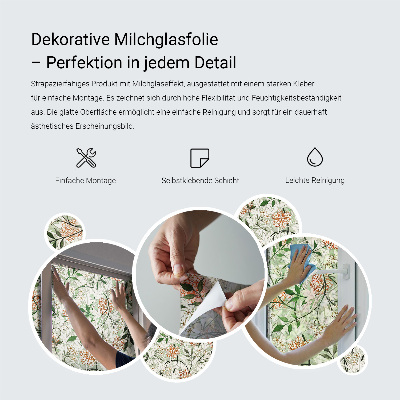 Film fenêtre décoratif occultant vitrail Plumes élégantes