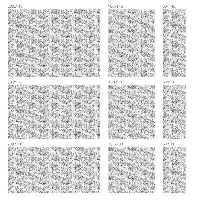 Film occultant pour fenêtre élégance florale