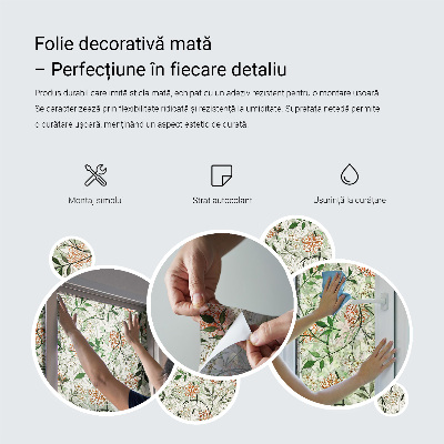 Film occultant fenêtre effet vitrail Modèle de plante