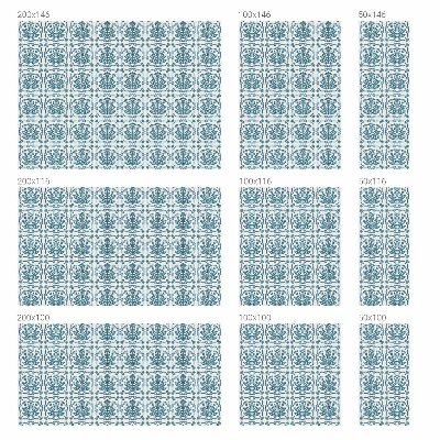 Film occultant pour fenêtre Motif floral