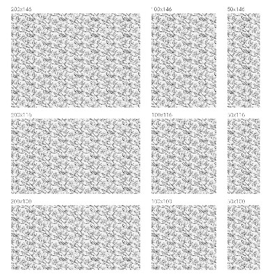 Film fenêtre décoratif occultant vitrail Oiseaux et fleurs