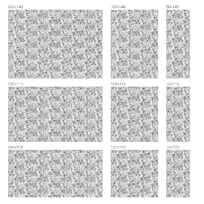 Film occultant pour fenêtre Élégance florale