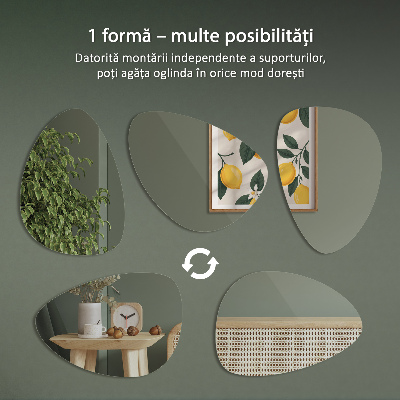 Miroir forme originale Mural sans cadre