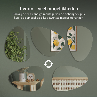 Miroir forme originale Mural sans cadre