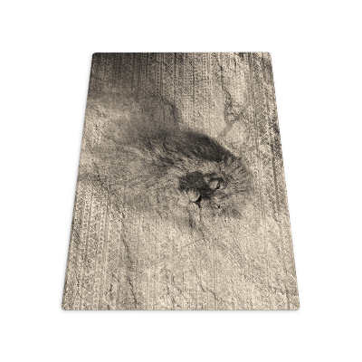 Tapis de chaise rectangulaire Motifs lion africa