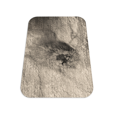 Tapis de chaise rectangulaire Motifs lion africa