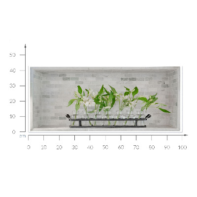 Adhésif mural 3d 100x43 Fleurs dans des vases