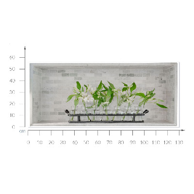 Adhésif mural 3d 130x56 Fleurs dans des vases