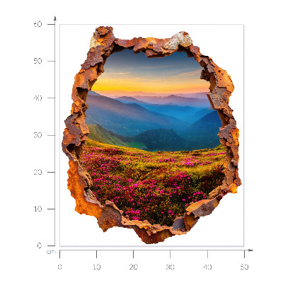 Sticker mural effet trou 3D 50x60 Montagnes de fleurs