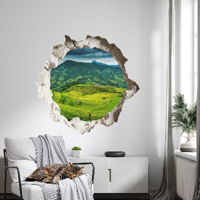 Sticker mural effet trou 3D 60x57 Terrasses vertes