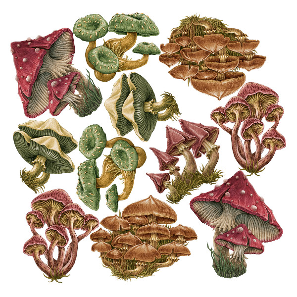 Autocollant mural 100x48 Champignons forestiers en version dessin animé