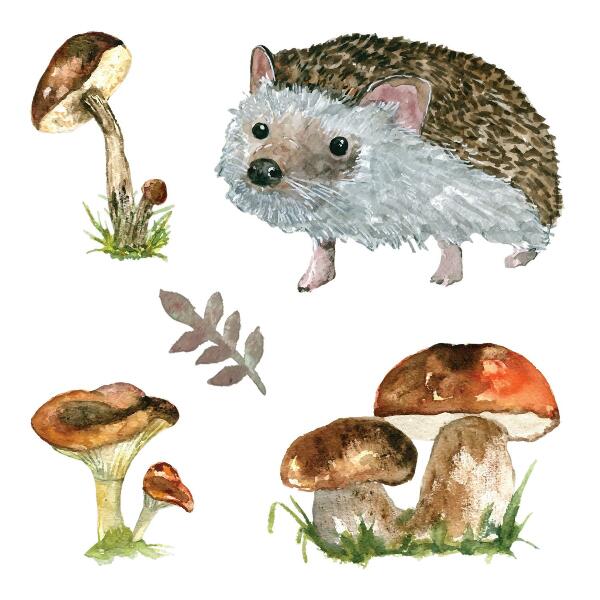 Autocollant mural 130x201 Une composition forestière de plantes et d'animaux à l'aquarelle