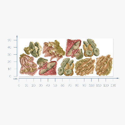 Autocollant mural 130x52 Champignons forestiers dans un style de dessin pastel