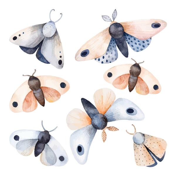 Autocollant mural 60x77 Papillons de nuit bohèmes pastel avec des insectes colorés