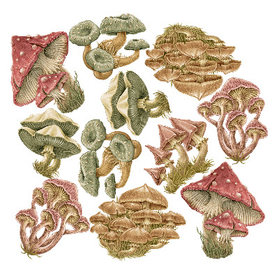 Autocollant mural 60x24 Champignons forestiers dans un style de dessin pastel
