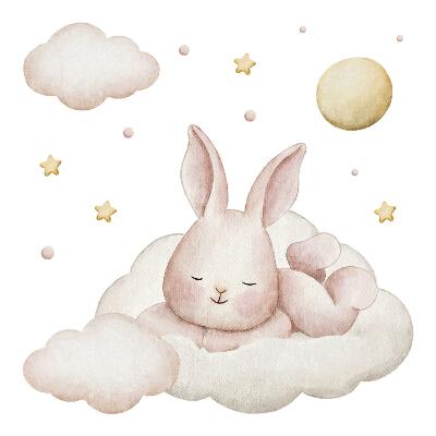 Autocollant mural 80x69 Lapin sur les nuages et aquarelles pastel