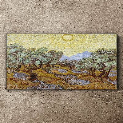 Tableau sur toile Oliviers au soleil