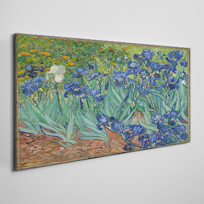 Tableau toile imprimée Iris dans le jardin
