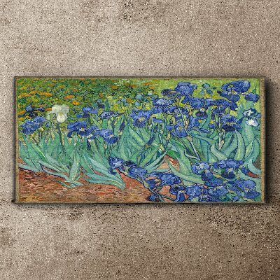 Tableau toile imprimée Iris dans le jardin
