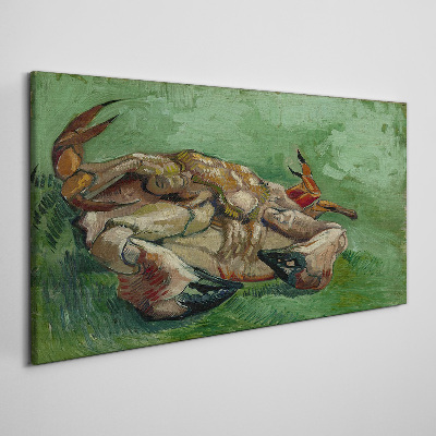 Tableau imprimé sur toile Un crabe couché sur le dos