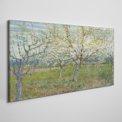 Tableau toile imprimée Arbres en fleurs au soleil du printemps