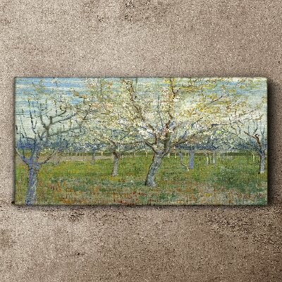 Tableau toile imprimée Arbres en fleurs au soleil du printemps