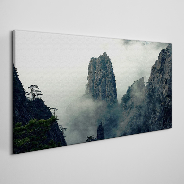 Tableau toile imprimée Paysage de montagne brumeux
