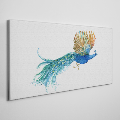 Tableau sur toile Un paon coloré en mouvement