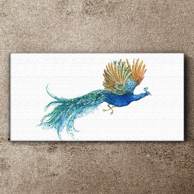 Tableau sur toile Un paon coloré en mouvement