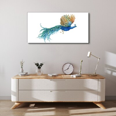 Tableau sur toile Un paon coloré en mouvement